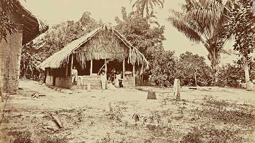 Rare 19th-century photos show pristine beauty of the Amazon rainforest