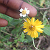 Post: Nature of blaqsbi