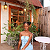 Post: π MY LESSON TEACHER OPENED MY LEGS AND MY BODY π₯ππ₯βπ½Written by Vickys Stories...