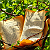 Article: Thorns of the Living Word: Scripture Entwined in the Verdant Silence